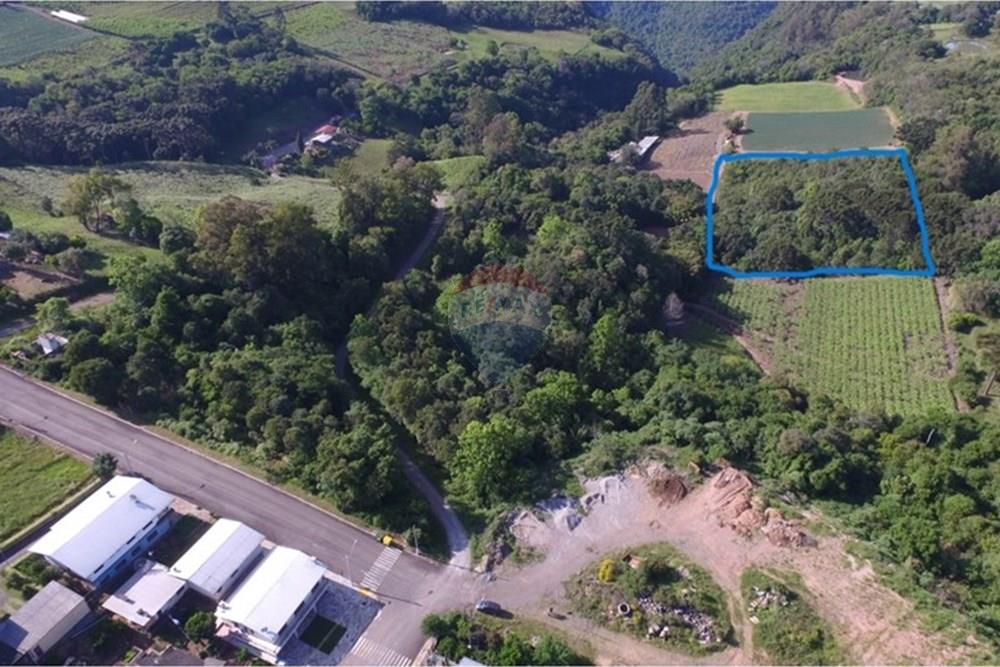 Terreno - Venda - Nova Pádua , Rio Grande do Sul - DJI_004422177.jpg - 612551039-219