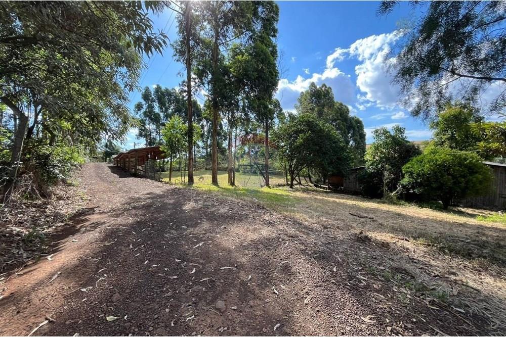 Chácara / Sítio / Fazenda - Venda - Trindade do Sul , Rio Grande do Sul - WhatsApp Image 2025-09-11 at 16.25.36.jpeg - 610231026-29