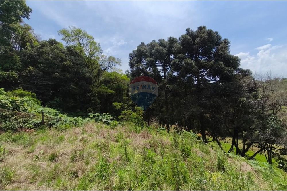 Terreno - Venda - São Valentim , Rio Grande do Sul - WhatsApp Image 2025-10-11 at 13.51.08 (1).jpeg - Fachada - 612761006-54