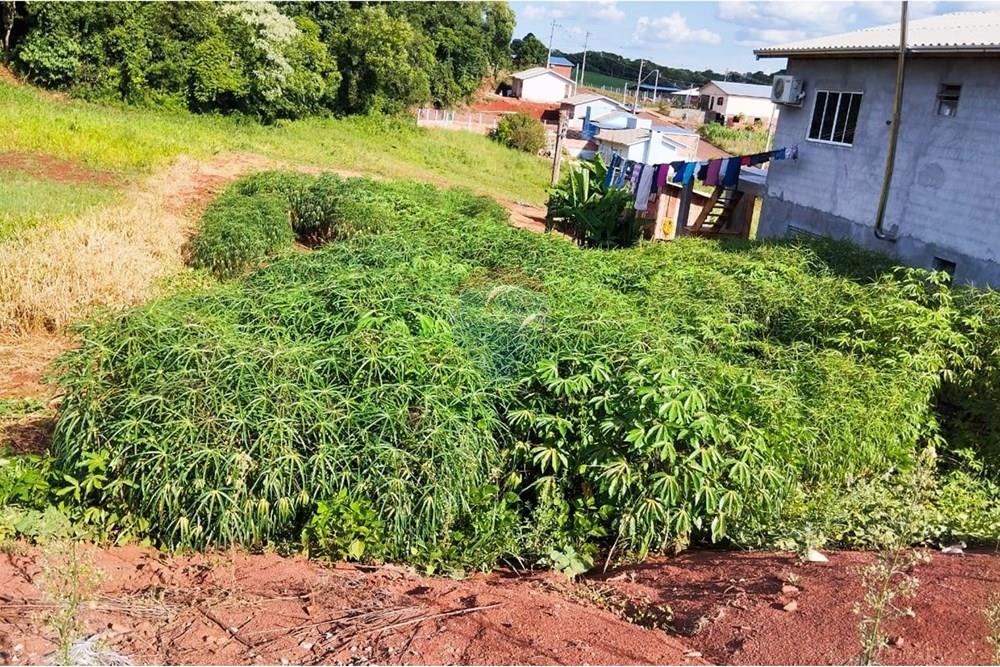 Terreno - Venda - Sarandi , Rio Grande do Sul - WhatsApp Image 2025-01-20 at 09.55.33.jpeg - 610341021-12