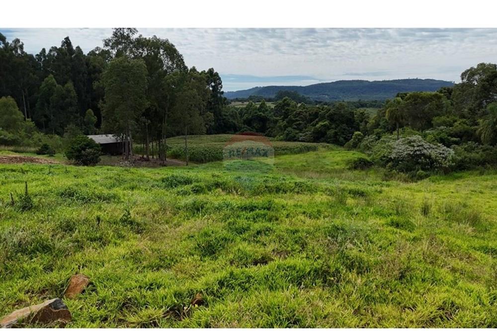 Chácara / Sítio / Fazenda - Venda - Gramado , Rio Grande do Sul - WhatsApp Image 2026-02-24 at 16.26.07 (1).jpeg - 610131034-44