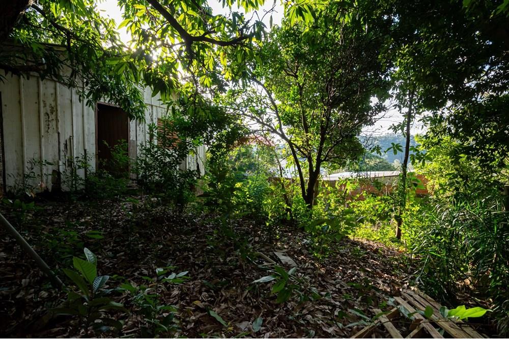 Terreno - Venda - Novo Hamburgo , Rio Grande do Sul - DSC_5068.jpeg - 610261057-8