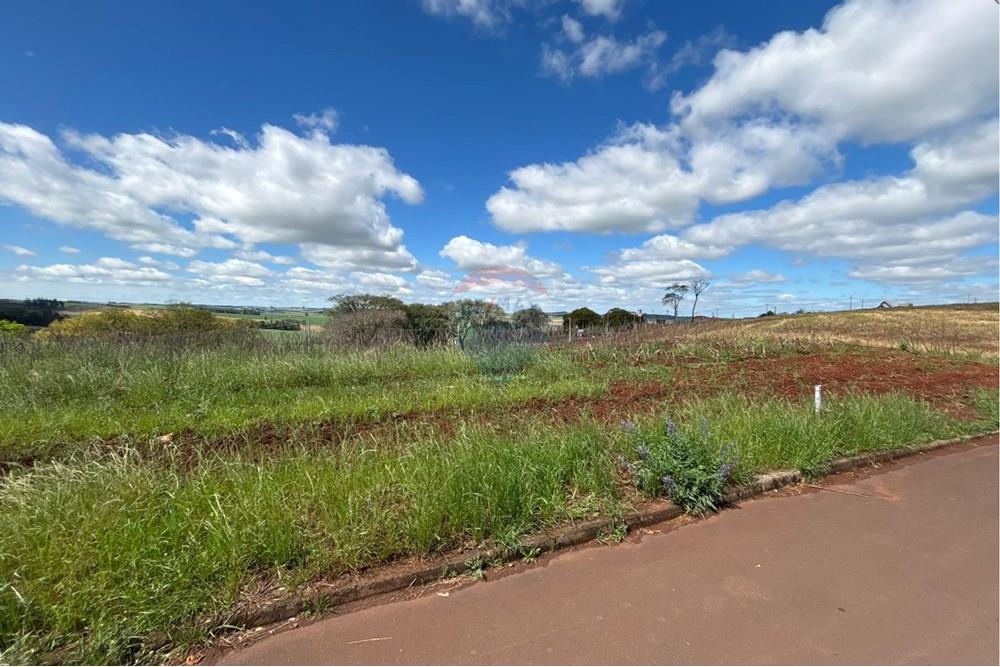 Terreno - Venda - Constantina , Rio Grande do Sul - WhatsApp Image 2025-09-10 at 13.24.24 (3).jpeg - 610341005-74