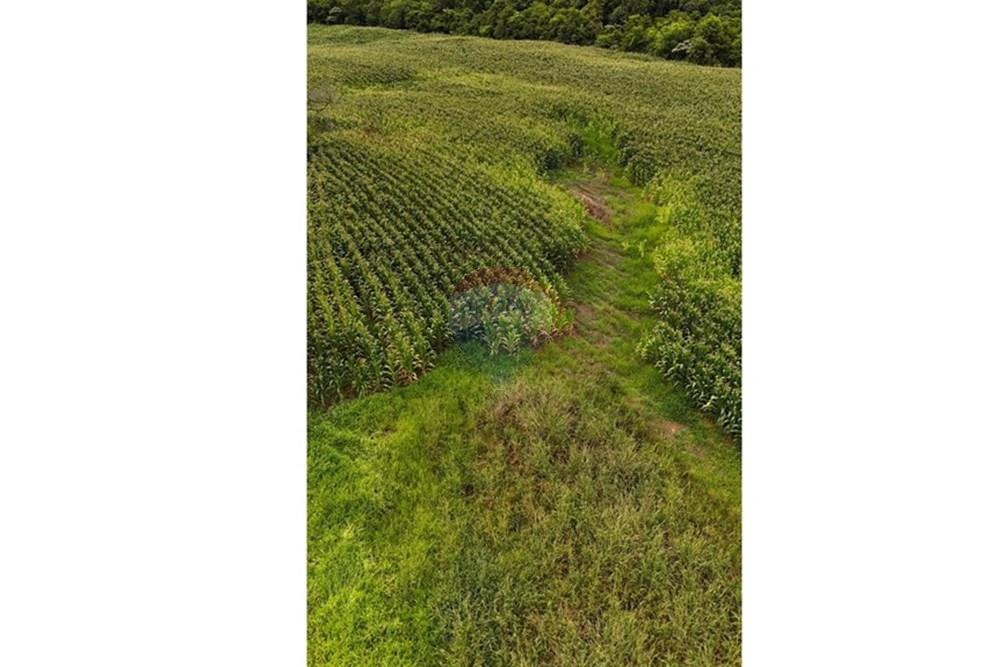 Chácara / Sítio / Fazenda - Venda - Gramado , Rio Grande do Sul - WhatsApp Image 2026-02-24 at 18.00.11 (7).jpeg - 610131034-44