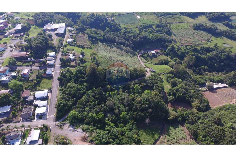 Terreno - Venda - Nova Pádua , Rio Grande do Sul - DJI_0046.jpg - 612551039-219