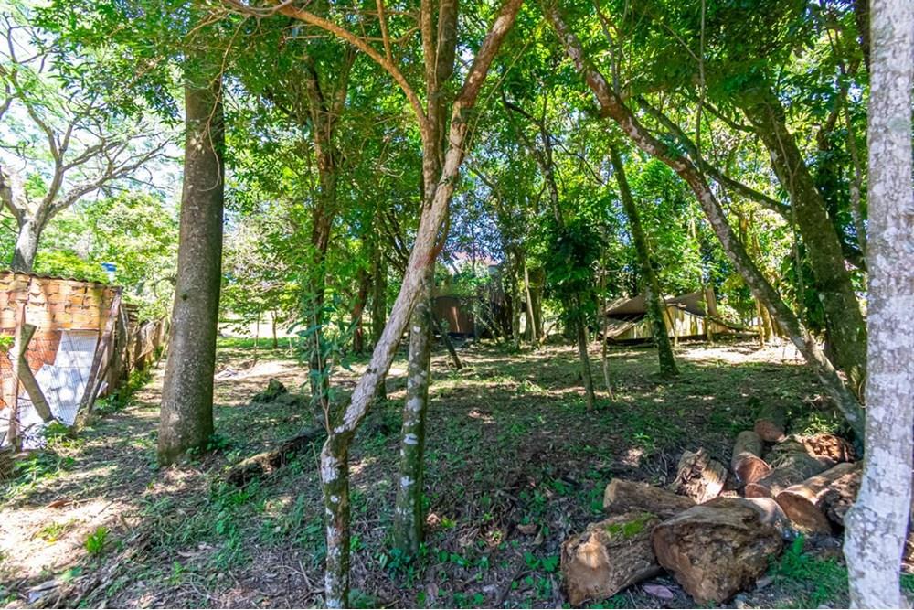 Chácara / Sítio / Fazenda - Venda - Gravataí , Rio Grande do Sul - LRP 9.jpg - 612551082-7