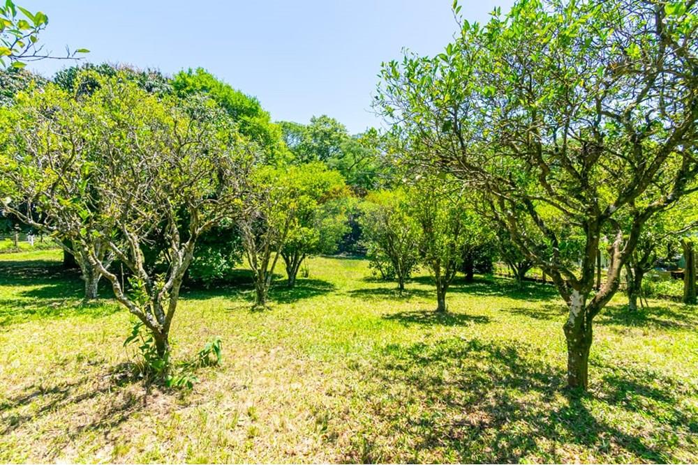 Chácara / Sítio / Fazenda - Venda - Gravataí , Rio Grande do Sul - LRP 26.jpg - 612551082-7