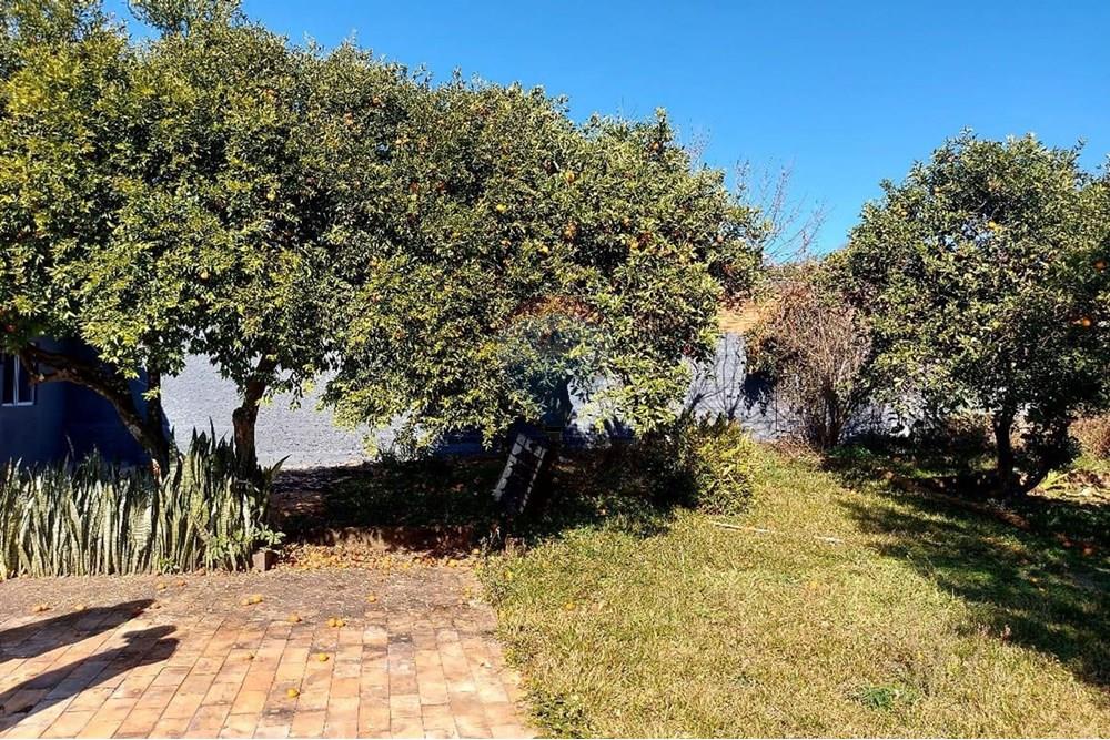 Casa - Venda - Passo Fundo , Rio Grande do Sul - WhatsApp Image 2025-08-08 at 11.24.00 (3).jpeg - 612721043-2