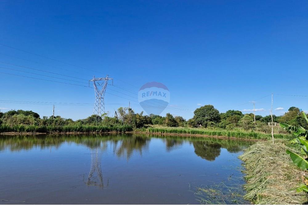 Chácara / Sítio / Fazenda - Venda - Trindade do Sul , Rio Grande do Sul - IMG-20250305-WA0024.jpg - 610231004-87