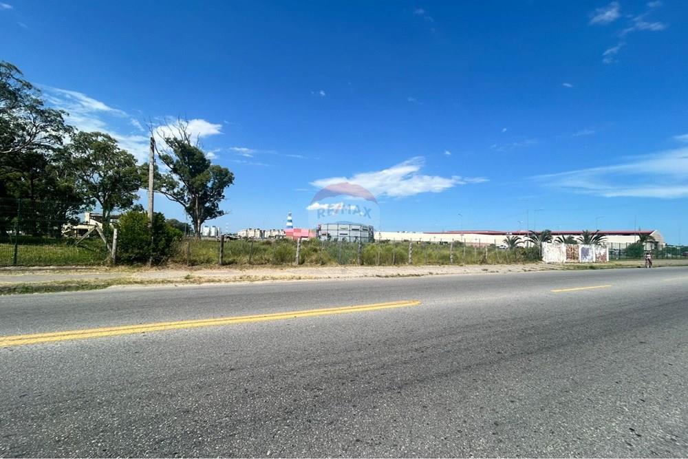 Terreno - Venda - Rio Grande , Rio Grande do Sul - WhatsApp Image 2026-02-12 at 23.43.41 (1).jpeg - 610211007-15