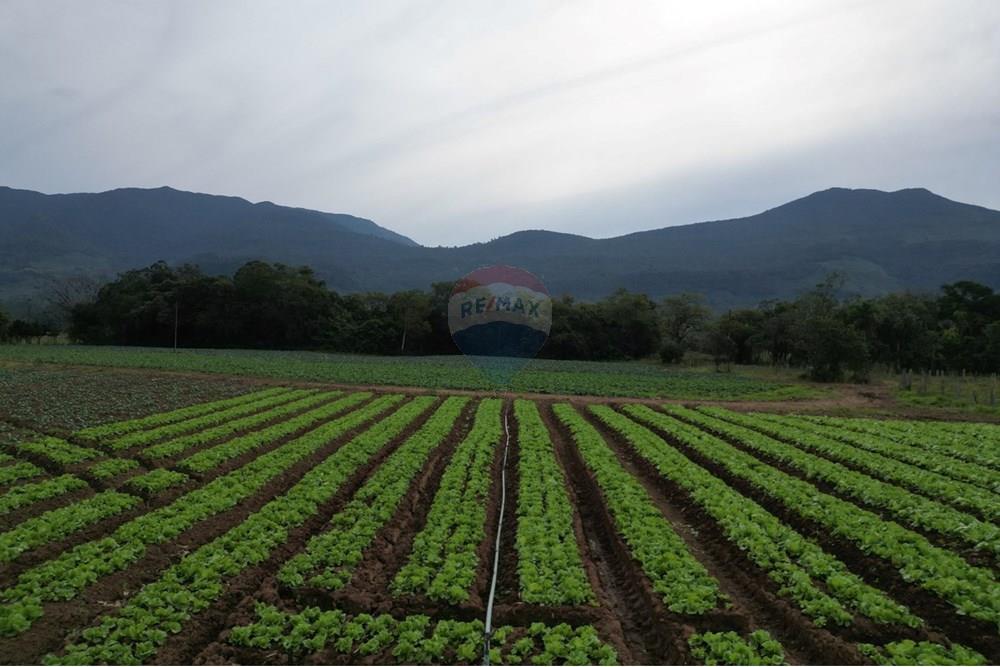 Terreno - Venda - Terra de Areia , Rio Grande do Sul - afacb095-5b8d-4d6b-87c7-bb4822fa8c0d.jpg - 612671028-46