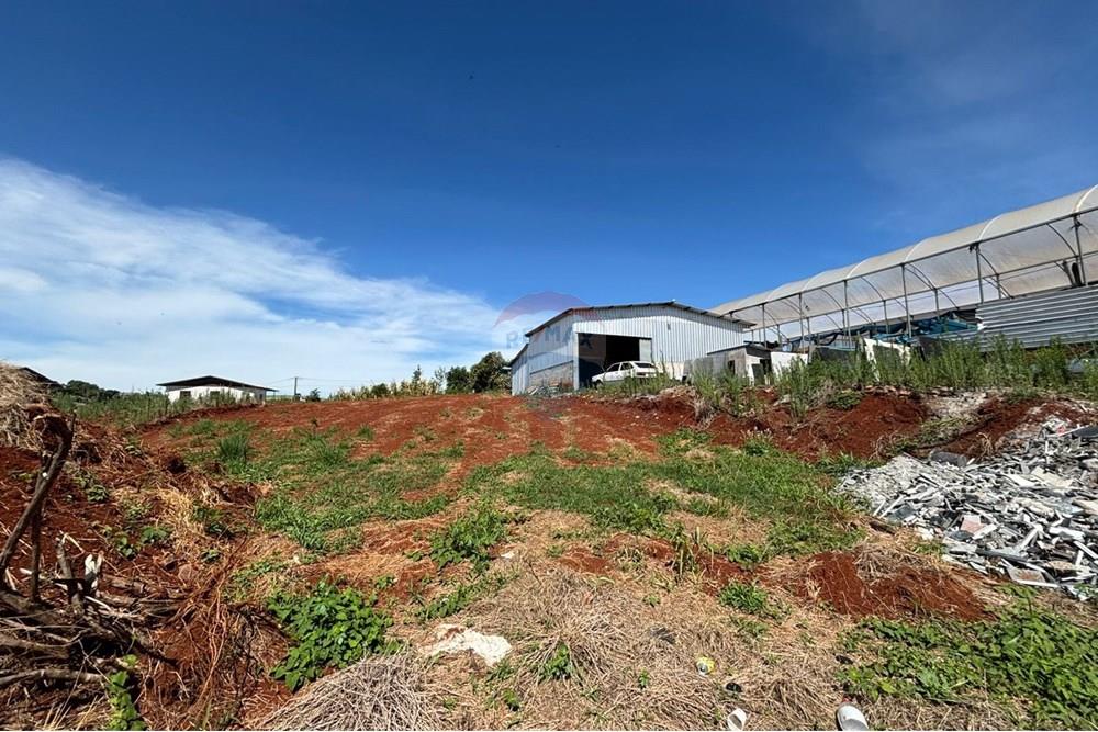 Terreno - Venda - Constantina , Rio Grande do Sul - WhatsApp Image 2025-12-17 at 09.05.07.jpeg - 610341005-83