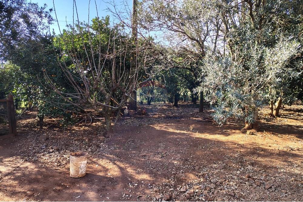 Chácara / Sítio / Fazenda - Venda - Ronda Alta , Rio Grande do Sul - 25f4e501-5f8e-4b57-9941-318494451bfe.jpeg - 610231039-1