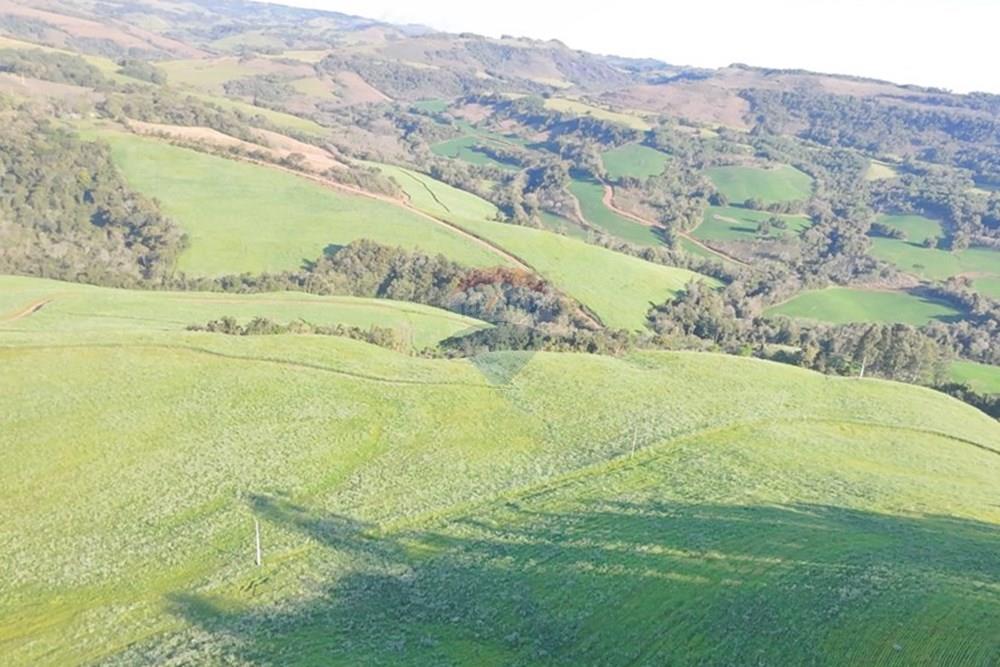 Agro - Venda - Três Palmeiras , Rio Grande do Sul - WhatsApp Image 2025-08-30 at 19.35.31 (2).jpeg - 610231001-210