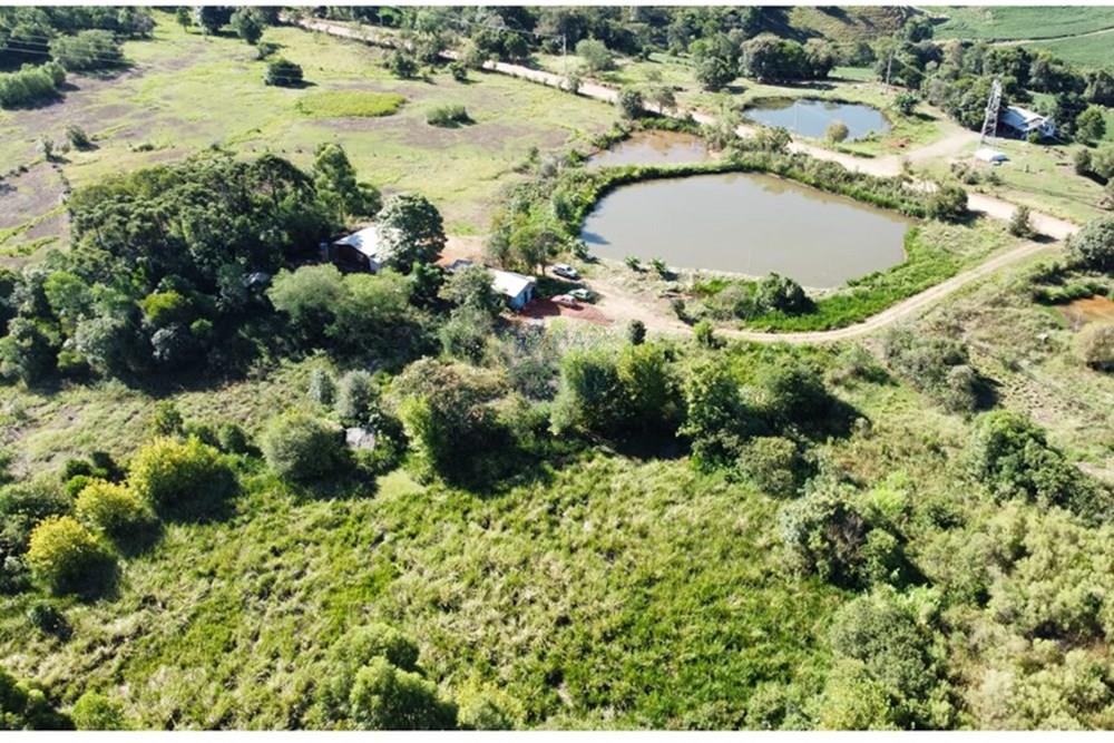 Chácara / Sítio / Fazenda - Venda - Trindade do Sul , Rio Grande do Sul - IMG-20250305-WA0019.jpg - 610231004-87