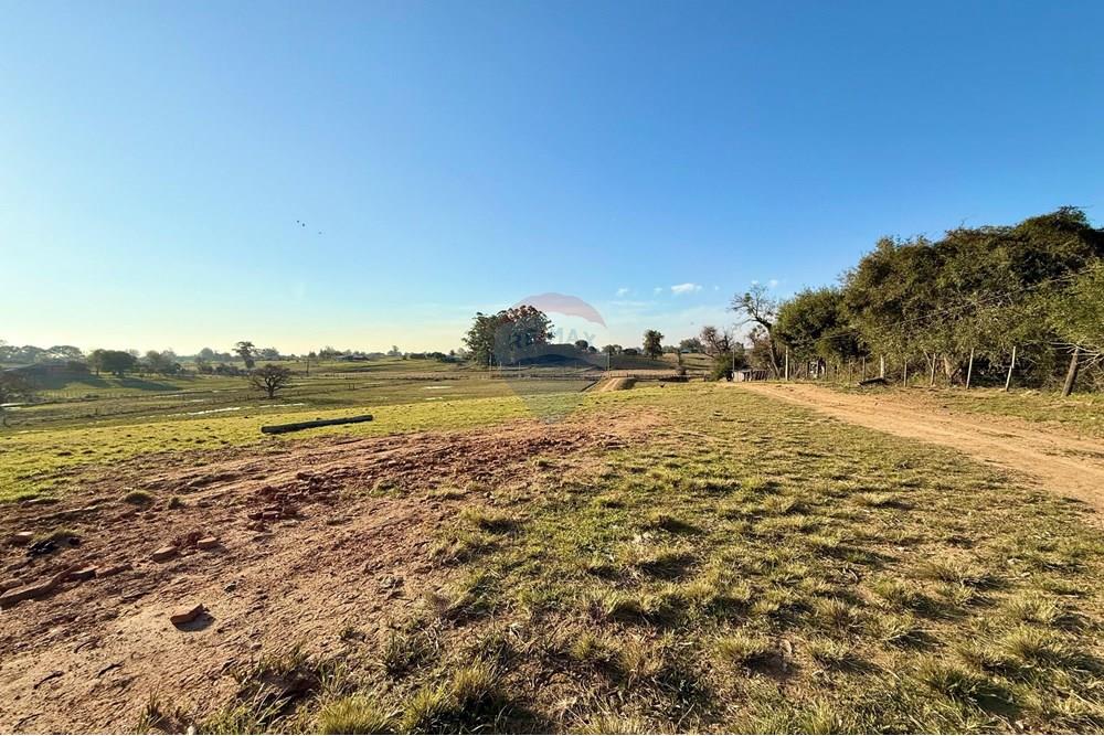 Chácara / Sítio / Fazenda - Venda - São Gabriel , Rio Grande do Sul - 33d00bc3-ff51-4e02-badc-1bb6ea2b2432.jpeg - 612631037-9