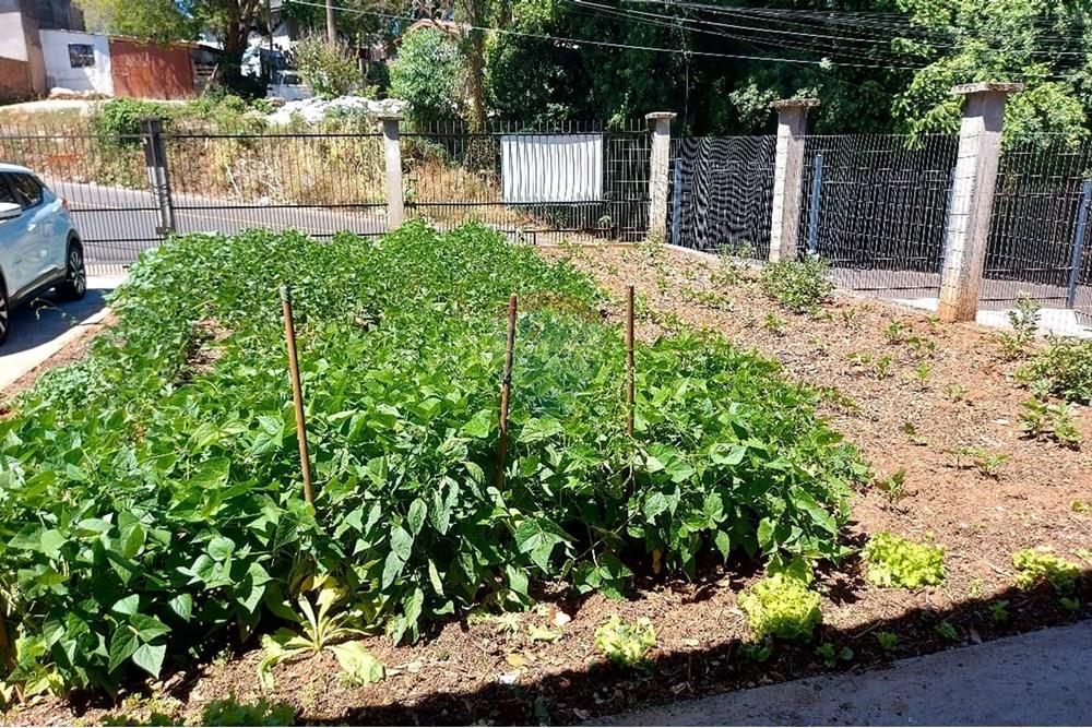 Terreno - Venda - Passo Fundo , Rio Grande do Sul - WhatsApp Image 2026-01-06 at 10.23.44 (1).jpeg - 612721043-11