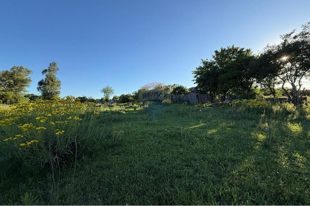 Terreno - Venda - São Gabriel , Rio Grande do Sul - Imagem do WhatsApp de 2025-10-16 à(s) 14.42.38_fdd8f63f.jpg - 612631046-34