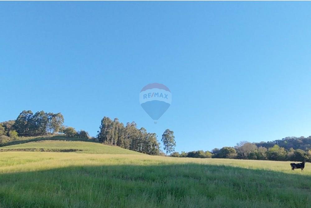 Agro - Venda - Três Palmeiras , Rio Grande do Sul - WhatsApp Image 2025-08-30 at 19.38.23.jpeg - 610231001-208