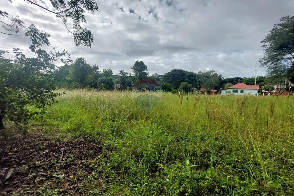 Ponto Comercial - Alugar - Passo Fundo , Rio Grande do Sul - WhatsApp Image 2025-04-09 at 11.08.55 (3).jpeg - 610271045-1117