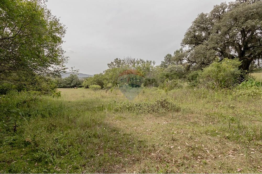 Terreno - Venda - Porto Alegre , Rio Grande do Sul - 0805-272 (24).jpg - 612521075-18