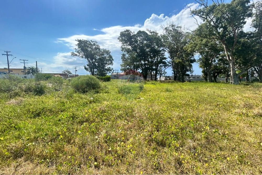 Terreno - Venda - Rio Grande , Rio Grande do Sul - WhatsApp Image 2026-02-12 at 23.43.39.jpeg - 610211007-15