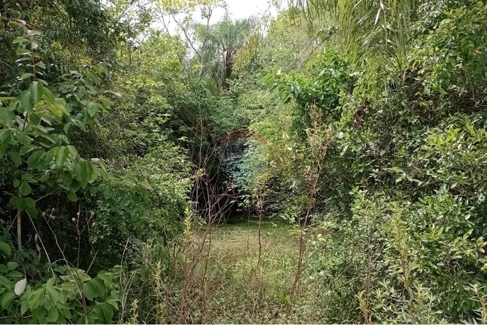 Chácara / Sítio / Fazenda - Venda - Sarandi , Rio Grande do Sul - WhatsApp Image 2025-11-26 at 16.01.42 (4).jpeg - 610341020-16