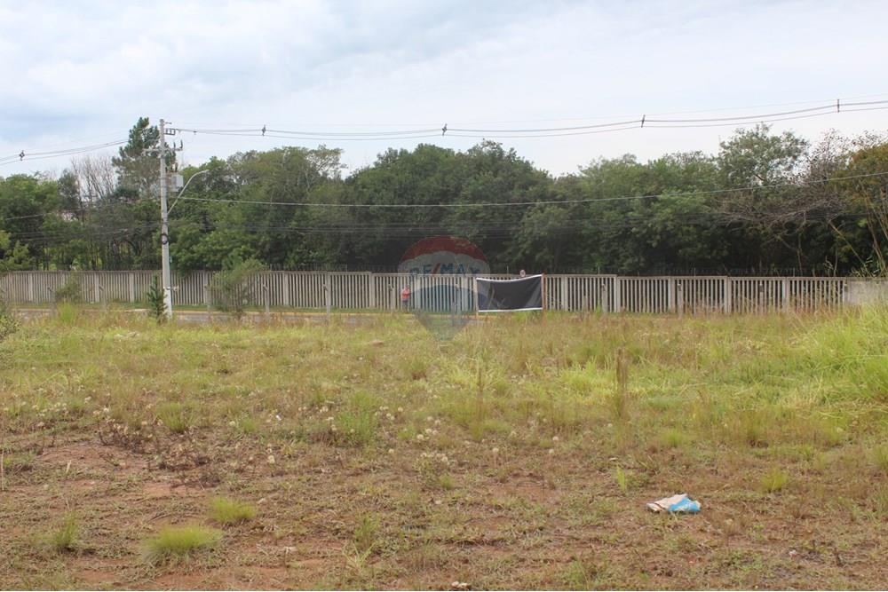 Terreno - Venda - Gravataí , Rio Grande do Sul - IMG_3912.JPG - 610161057-54