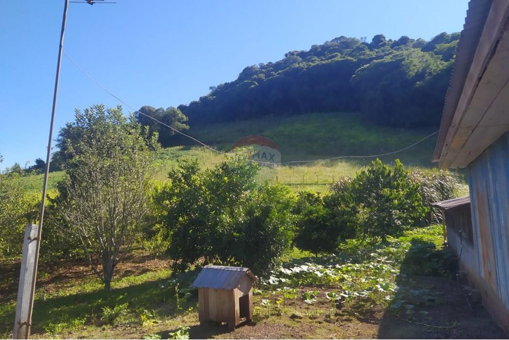 Chácara / Sítio / Fazenda - Venda - Coqueiros do Sul , Rio Grande do Sul - 85705585-4388-4d81-b356-c4b7484b07a3.jpg - 612701042-33