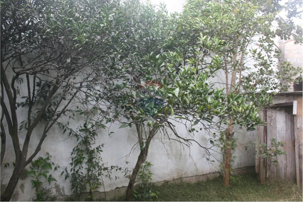 Terreno - Venda - Cachoeirinha , Rio Grande do Sul - IMG_4771.JPG - 612551022-106