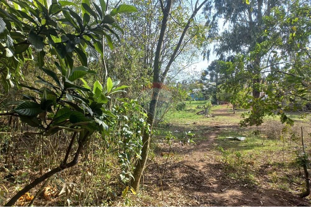 Chácara / Sítio / Fazenda - Venda - Nonoai , Rio Grande do Sul - IRIA 06.jpg - 610231002-40