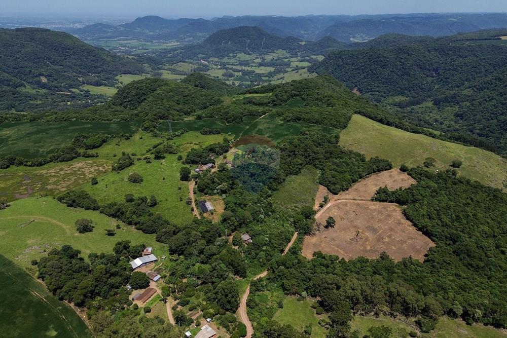 Chácara / Sítio / Fazenda - Venda - Silveira Martins , Rio Grande do Sul - DJI_0819.jpg - 610311058-39