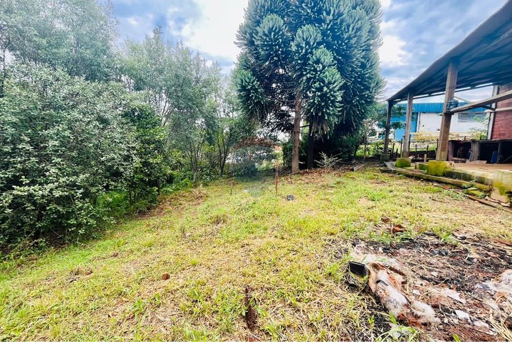 Industrial - Venda - Passo Fundo , Rio Grande do Sul - WhatsApp Image 2026-03-09 at 09.14.59 (1).jpeg - 612721002-89