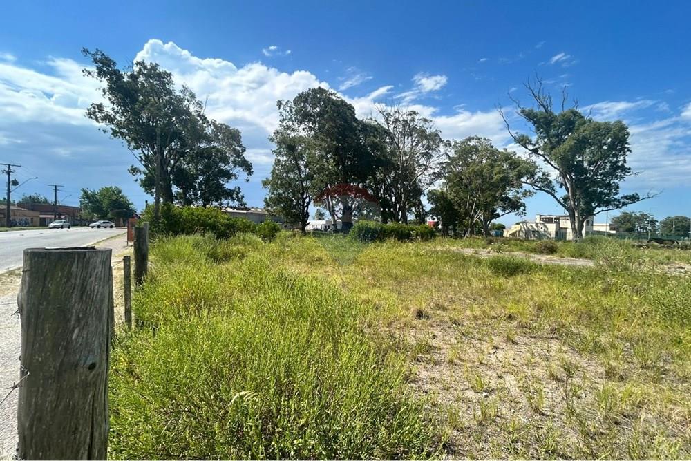 Terreno - Venda - Rio Grande , Rio Grande do Sul - WhatsApp Image 2026-02-12 at 23.43.40 (1).jpeg - 610211007-15