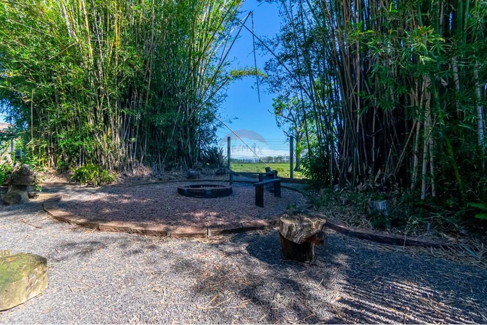 Chácara / Sítio / Fazenda - Venda - Gravataí , Rio Grande do Sul - IMG-20251112-WA0228.jpg - 610381132-17