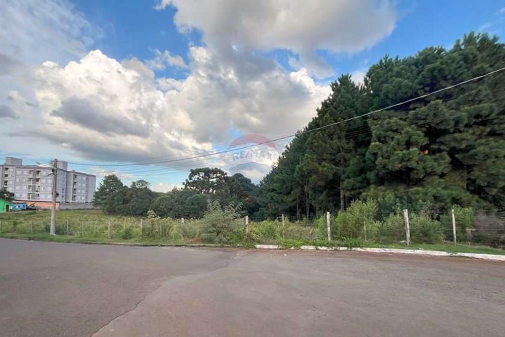 Terreno - Venda - Lagoa Vermelha , Rio Grande do Sul - 2.jpg - 610111005-110