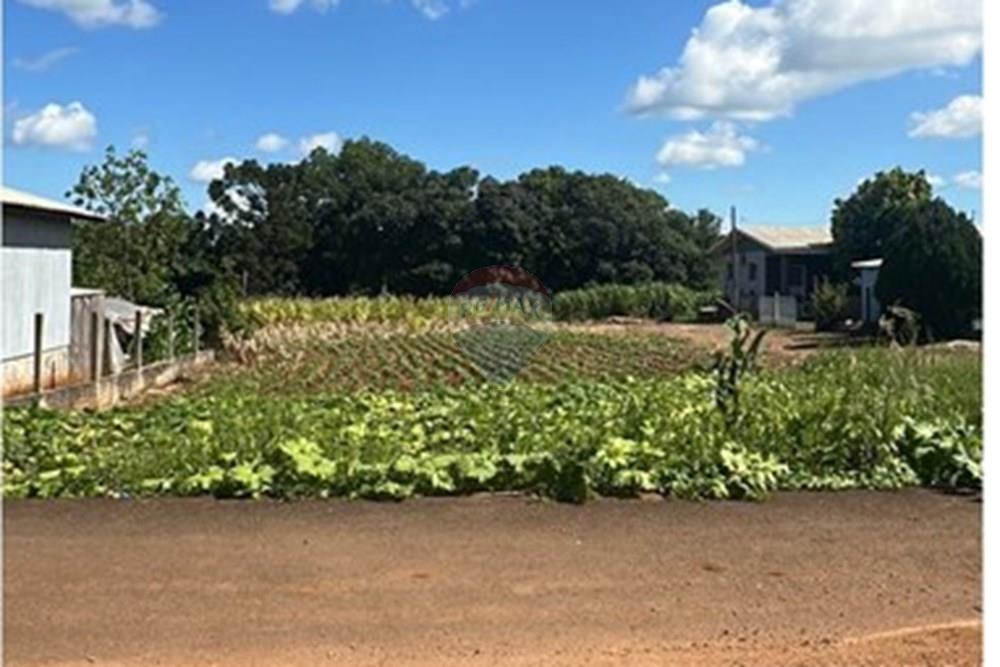 Terreno - Venda - Três Palmeiras , Rio Grande do Sul - WhatsApp Image 2026-01-30 at 16.47.31.jpeg - 610231001-230