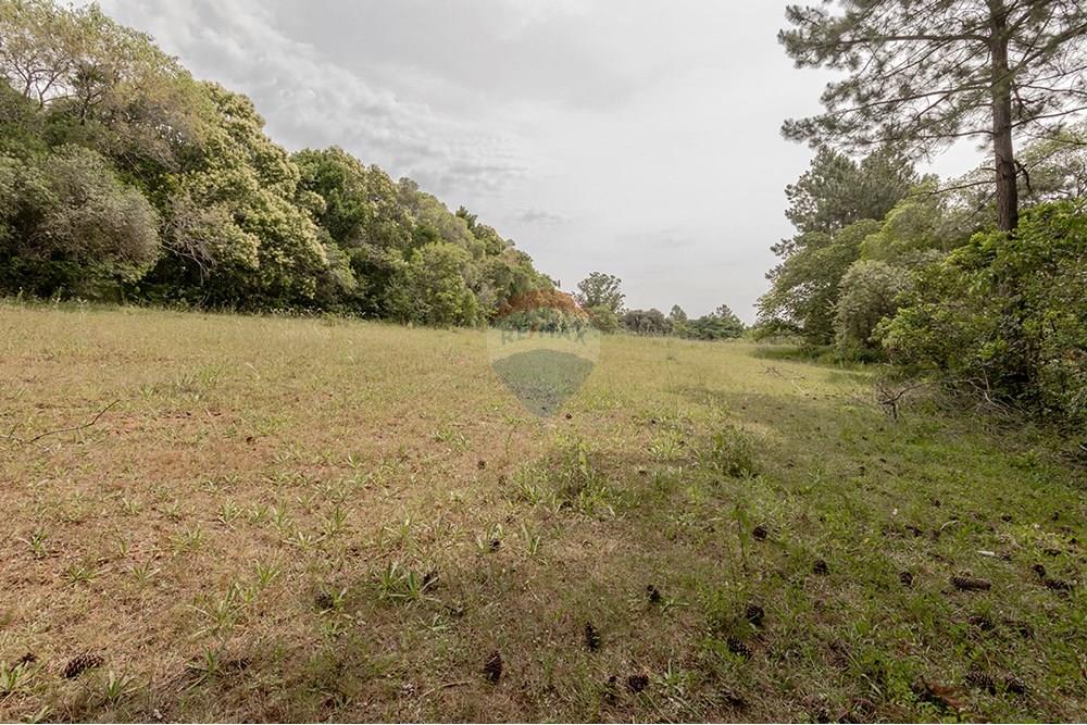 Terreno - Venda - Porto Alegre , Rio Grande do Sul - 0805-272 (21).jpg - 612521075-18