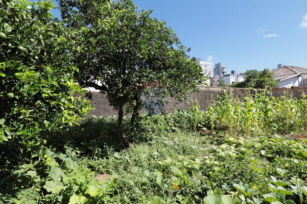 Terreno - Venda - Passo Fundo , Rio Grande do Sul - IMG_4893.JPG - 610271075-18