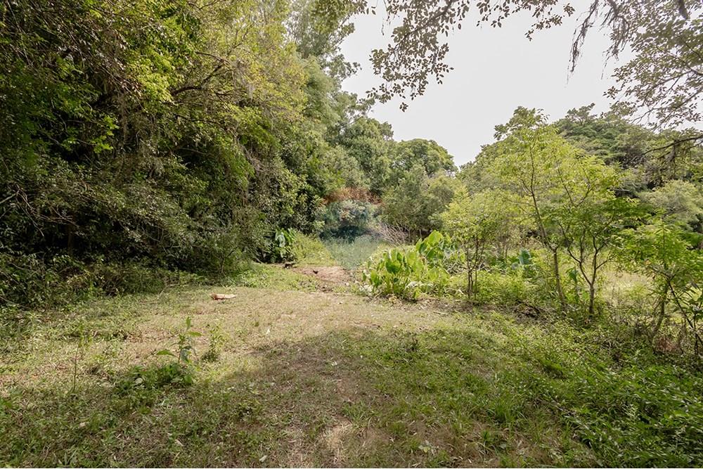 Terreno - Venda - Porto Alegre , Rio Grande do Sul - 0805-272 (23).jpg - 612521075-18