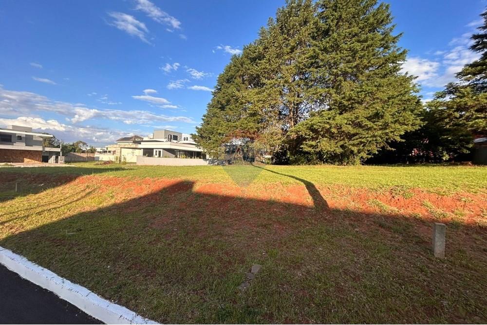 Terreno - Venda - Passo Fundo , Rio Grande do Sul - WhatsApp Image 2025-12-09 at 07.43.45.jpeg - 610271050-104