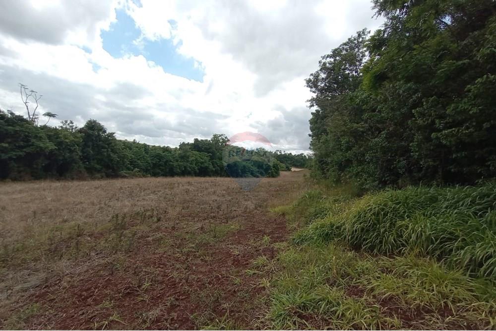 Chácara / Sítio / Fazenda - Venda - Sarandi , Rio Grande do Sul - WhatsApp Image 2025-11-26 at 16.01.41 (2).jpeg - 610341020-16