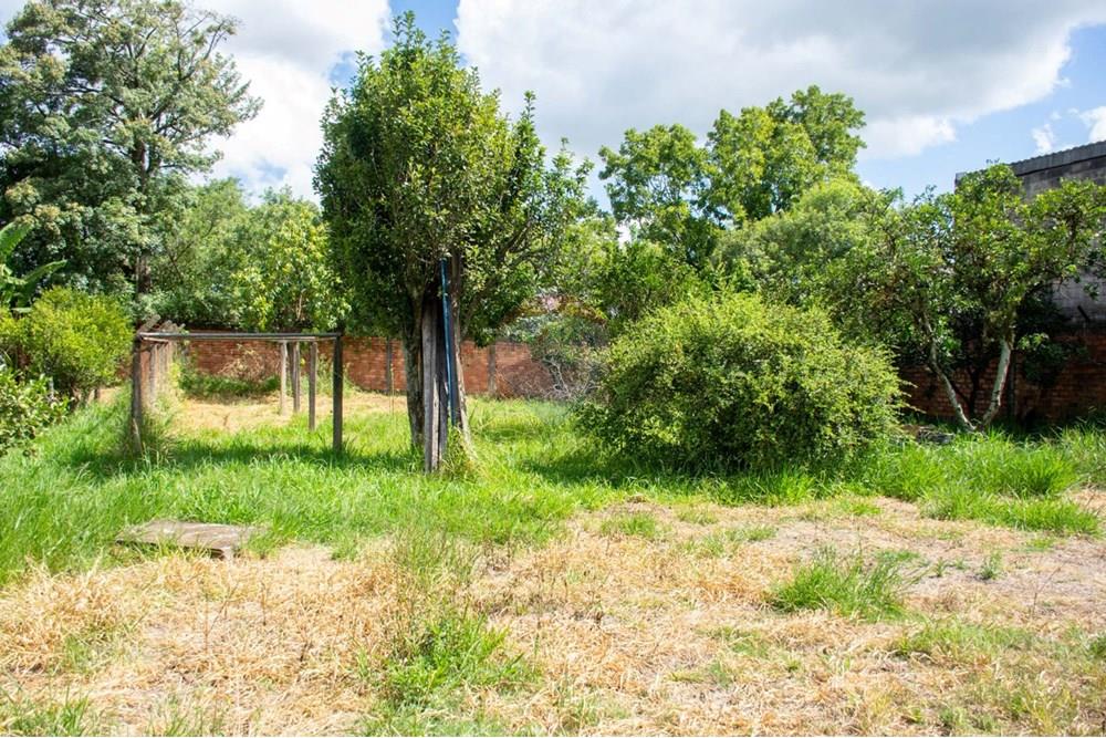 Casa Comercial - Venda - Cachoeirinha , Rio Grande do Sul - WhatsApp Image 2025-02-14 at 17.13.26.jpeg - 612551008-91