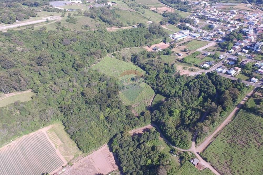 Terreno - Venda - Nova Pádua , Rio Grande do Sul - DJI_00551.jpg - 612551039-219