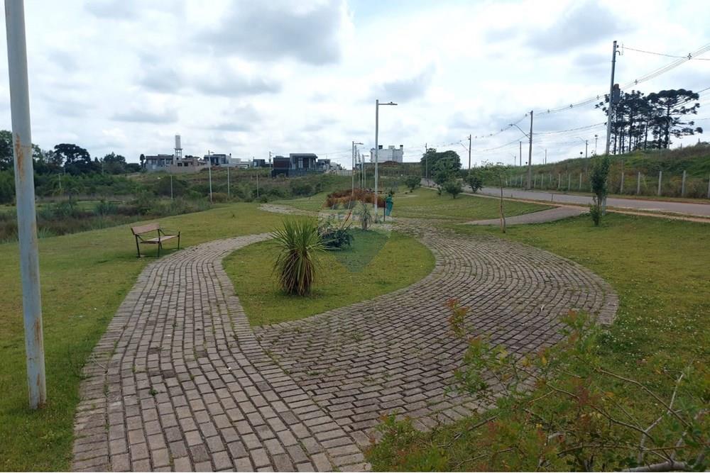 Terreno - Venda - Passo Fundo , Rio Grande do Sul - WhatsApp Image 2025-11-14 at 09.05.45 (1).jpeg - 612721047-1