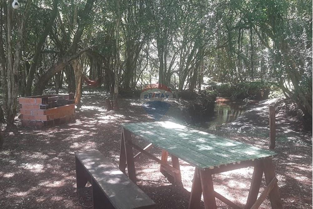 Chácara / Sítio / Fazenda - Venda - Lagoa dos Três Cantos , Rio Grande do Sul - 37683e0d-362b-4ec6-aba1-6a61061e2b6b.jpeg - 612701005-19