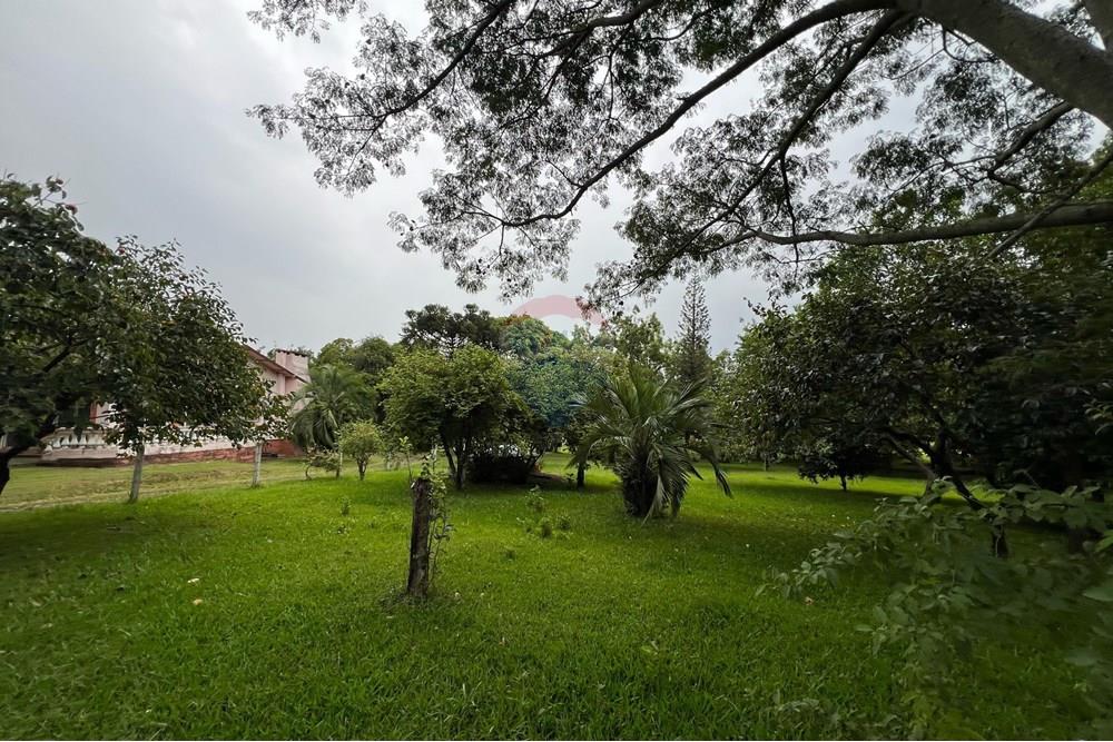 Chácara / Sítio / Fazenda - Venda - Glorinha , Rio Grande do Sul - IMG-20250403-WA0117.jpg - 610161100-29