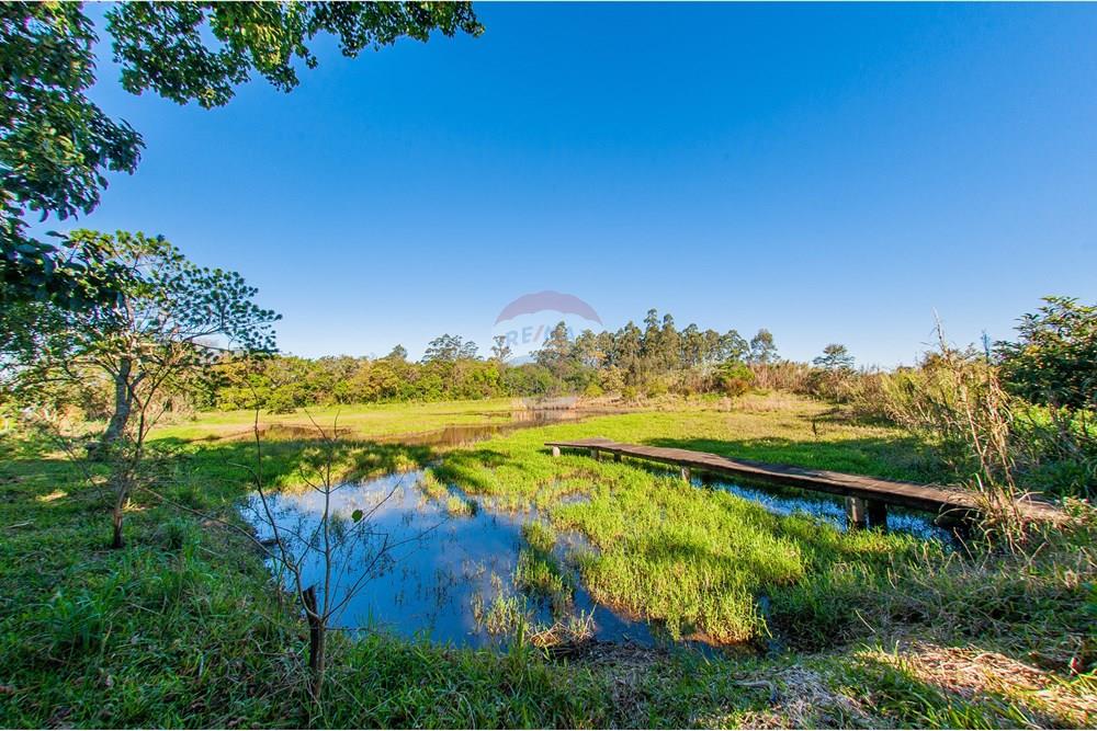 Chácara / Sítio / Fazenda - Venda - Brochier , Rio Grande do Sul - Foto-20.jpg - 610091003-74