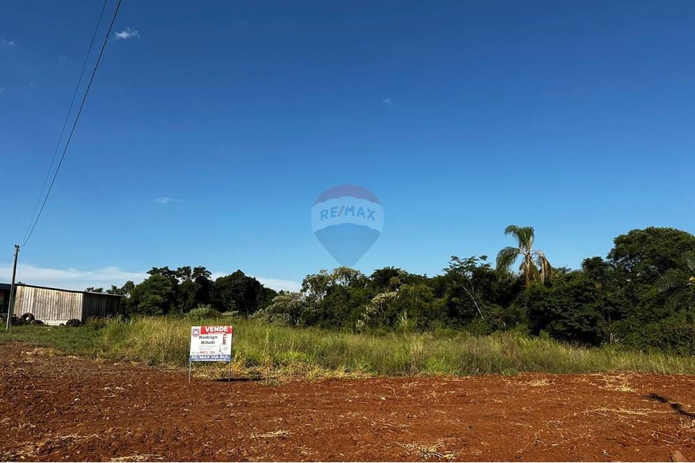 Terreno - Venda - Três Palmeiras , Rio Grande do Sul - WhatsApp Image 2025-01-24 at 16.13.52.jpeg - 610231001-184