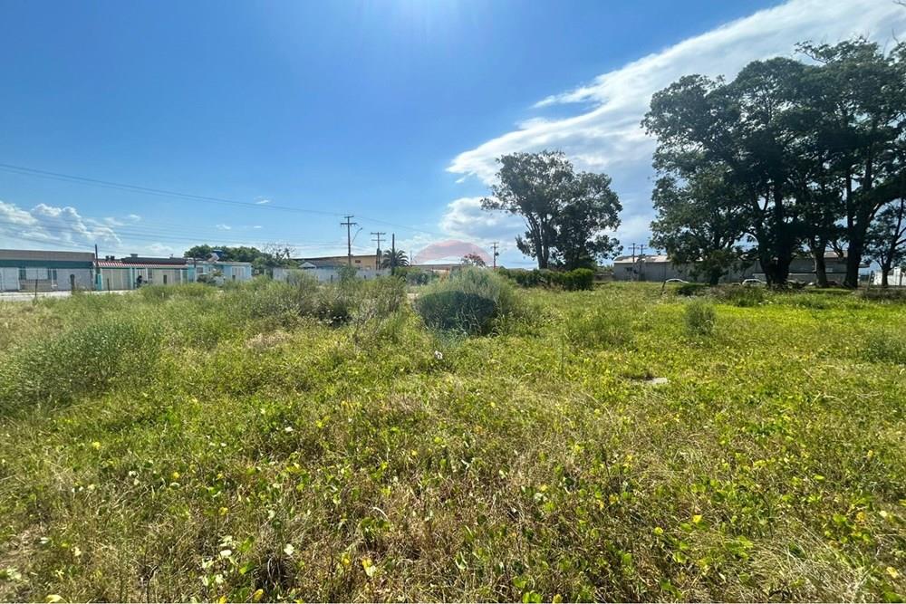 Terreno - Venda - Rio Grande , Rio Grande do Sul - WhatsApp Image 2026-02-12 at 23.43.35 (1).jpeg - 610211007-15